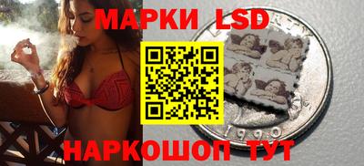 прущие грибы Будённовск