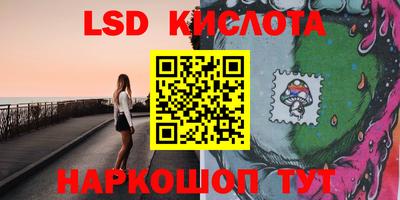 прущие грибы Будённовск