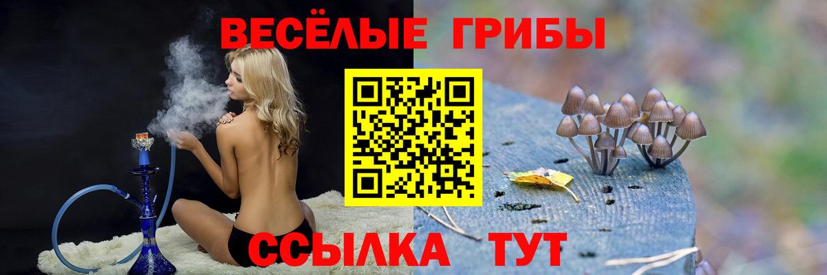 Псилоцибиновые грибы ЛСД Нальчик